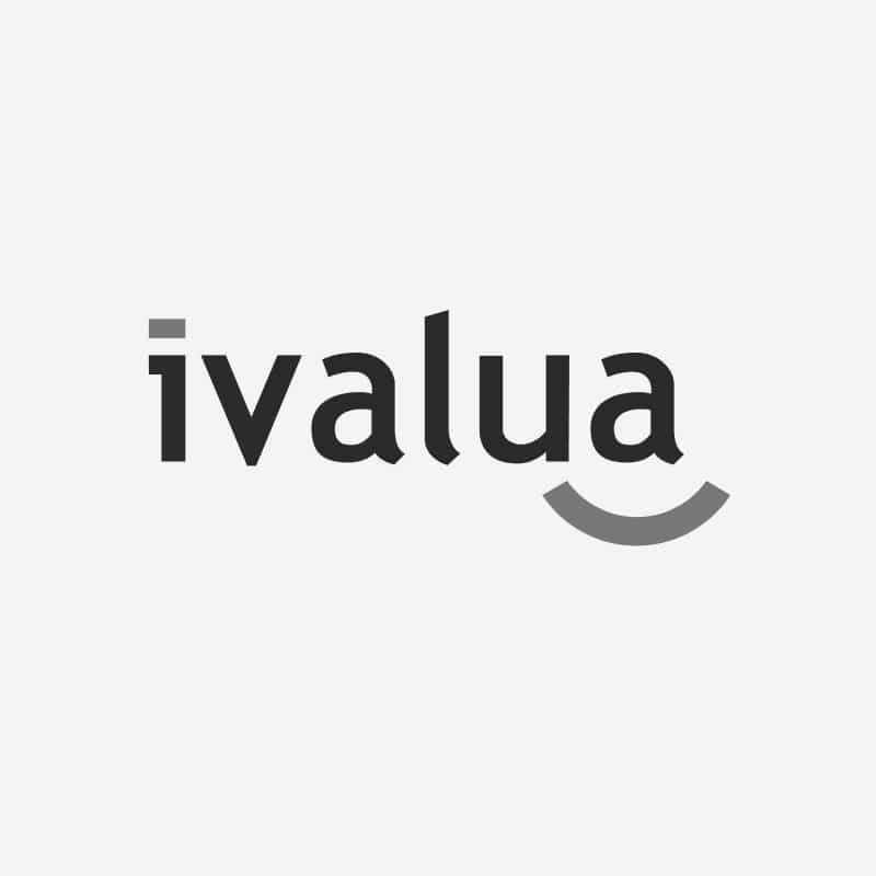 logo-ivalua-gris